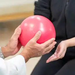 トレーナーの募集